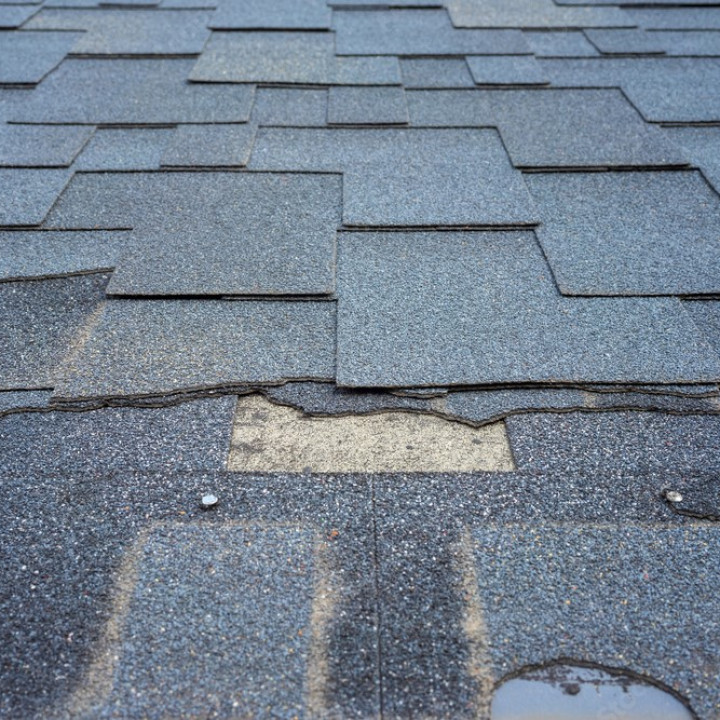 Damaged roof shingles requiring roof repair and restoration