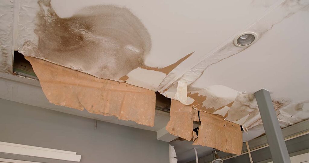 What to Do After Water Damage in Your Murfreesboro Home